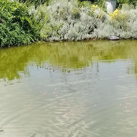Domaine Le Lanis Chambre D'Hotes Piscine Spa Privatise Sur Reservation Saint-Girons  Dış mekan fotoğraf