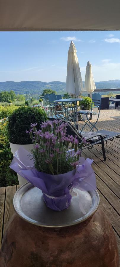 Domaine Le Lanis Chambre D'Hotes Piscine Spa Privatise Sur Reservation Saint-Girons  Dış mekan fotoğraf